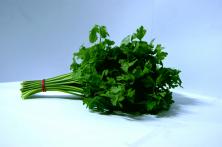 Kr&auml;uterbund Glatte Petersilie